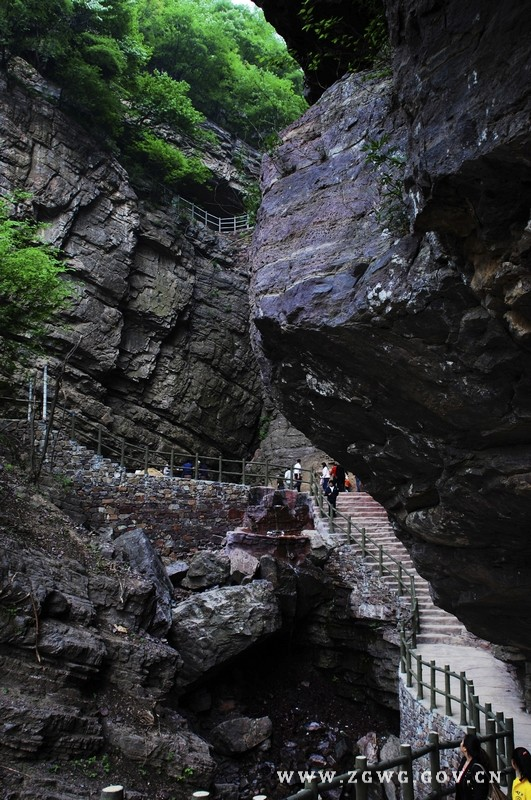 灯台架栈道 (2).jpg